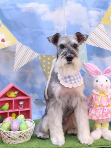 20240316小鉄くん